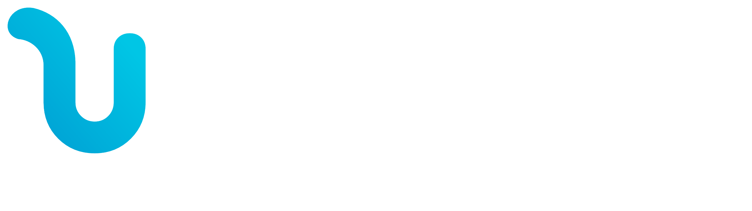 Logo Uzzecar